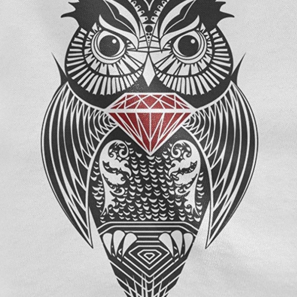 Drake OVO Owl Hoodie - Picture 2 of 2